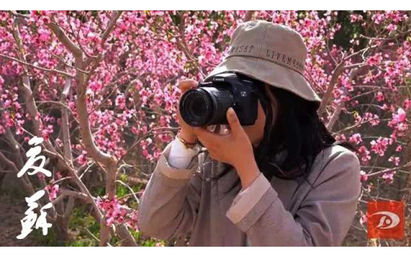 253家景区恢复开放 722家旅行社恢复省内旅游业务 甘肃文旅产业复苏势头良好